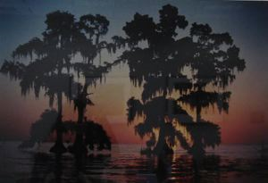 Image of Moss-covered Cypress at Sunset