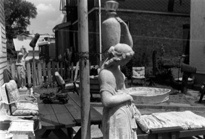 Image of Pictures for Books: Photographs by Thomas Roma