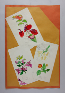 Image of Four Watercolor Sketches of Plants