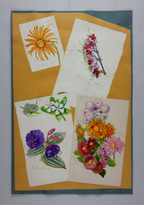 Image of Six Watercolor Sketches of Plants