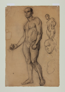 Image of Study of Male Nude holding an Apple