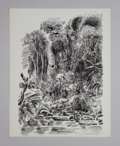 Image of Jungle, from "The Collectors Graphics"