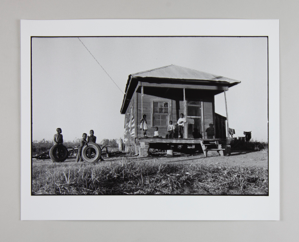Image of A House in the Delta