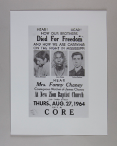 Image of Died for Freedom Poster