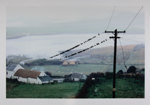 Image of Birds, Bloody Foreland, Donegal, from "Selected Images of Ireland"