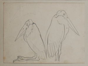 Image of Untitled (Study of Pelicans)