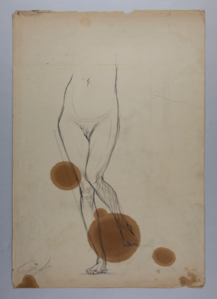 Image of Untitled (Female Nude Study)