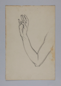 Image of Untitled (Study of a Hand)