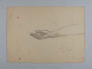 Image of Untitled (Study of a Hand)