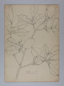 Image of Untitled (Plant Study, Holly)
