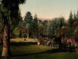 Image of Lucky Baldwin's Ranch, Pasadena.