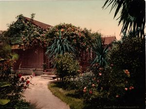 Image of Rose-Covered Cottage, Pasadena.