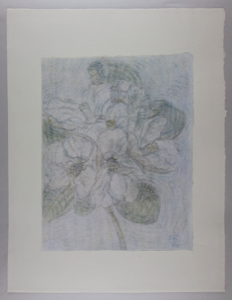 Image of Untitled, from "Blossoms and Flowers"