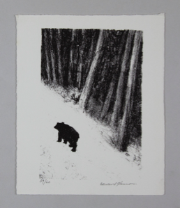 Image of The Bear