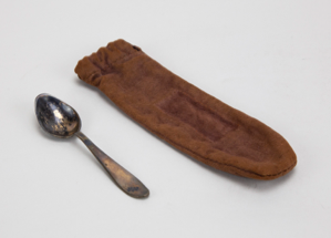 Image of Silver Spoon (and case)