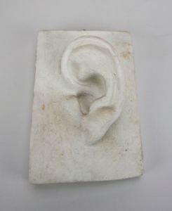 Image of Ear