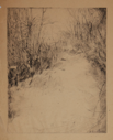 Image of Untitled (Path in the Woods)