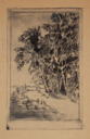 Image of Untitled (Beach with Palms)