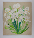 Image of Floral Study (white Iris)