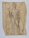 Image of Study of Male Nude