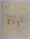 Image of Untitled (Sketch, Animals)