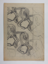 Image of Untitled (floral design study-Recto)