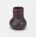 Image of Vase with Diamond-Leaf Saxifrage Design