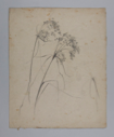 Image of Untitled (Floral Study)