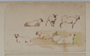 Image of Untitled (Study of Sheep)
