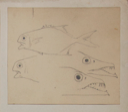 Image of Untitled (Study of Fish)