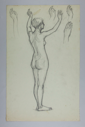 Image of Untitled (Study of a Nude)