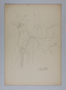 Image of Untitled (Plant Study, Lillies)