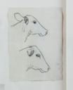 Image of Untitled (study of cows)