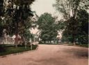 Image of Untitled; crossroads with trees