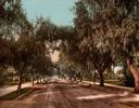 Image of Marengo Avenue. Pasadena, California.