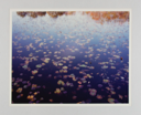 Image of Fall, Pond