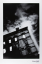 Image of Freedom Lights on Greenwich Street, from "Tribeca, 10013"