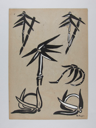 Image of Unknown (Plant Study, verso)