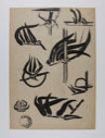 Image of Untitled - plant study, verso