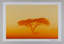 Image of Dust Storm, from "Selected Color Prints"
