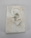 Image of Ear